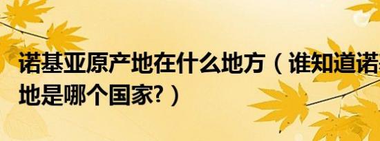 诺基亚原产地在什么地方（谁知道诺基亚原产地是哪个国家?）