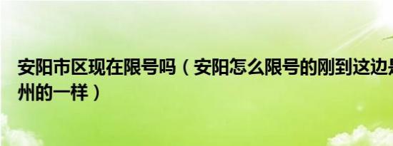 安阳市区现在限号吗（安阳怎么限号的刚到这边是不是跟郑州的一样）