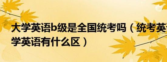 大学英语b级是全国统考吗（统考英语B和大学英语有什么区）