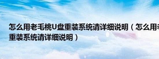 怎么用老毛桃U盘重装系统请详细说明（怎么用老毛桃U盘重装系统请详细说明）