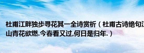 杜甫江畔独步寻花其一全诗赏析（杜甫古诗绝句江碧鸟逾白,山青花欲燃.今春看又过,何日是归年.）