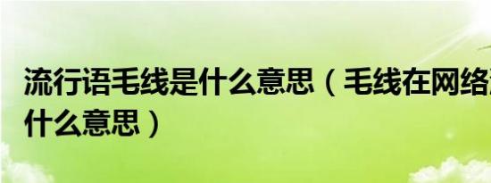 流行语毛线是什么意思（毛线在网络流行语中什么意思）