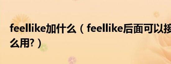 feellike加什么（feellike后面可以接什么?怎么用?）