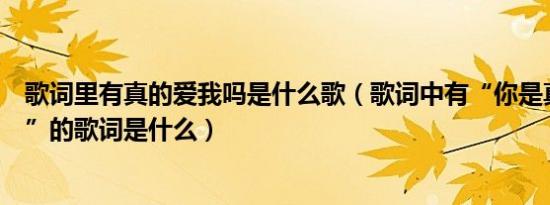 歌词里有真的爱我吗是什么歌（歌词中有“你是真的爱我么”的歌词是什么）