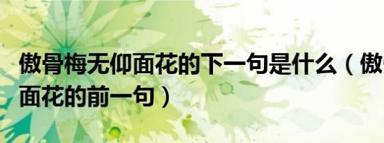 傲骨梅无仰面花的下一句是什么（傲骨梅无仰面花的前一句）