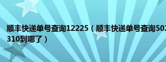 顺丰快递单号查询12225（顺丰快递单号查询502.945.603.310到哪了）