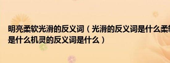 明亮柔软光滑的反义词（光滑的反义词是什么柔软的反义词是什么机灵的反义词是什么）