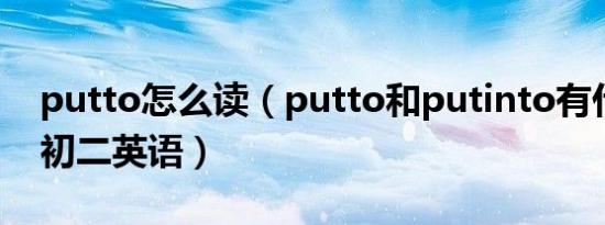 putto怎么读（putto和putinto有什么区别初二英语）