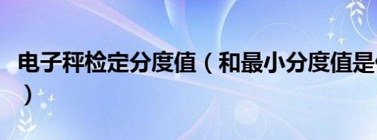 电子秤检定分度值（和最小分度值是什么意思）