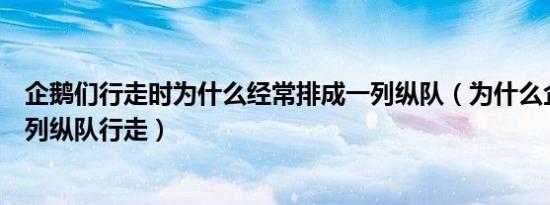 企鹅们行走时为什么经常排成一列纵队（为什么企鹅们以一列纵队行走）