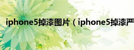 iphone5掉漆图片（iphone5掉漆严重吗）