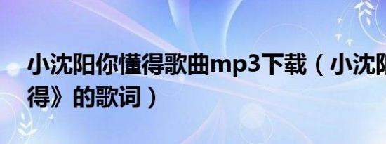 小沈阳你懂得歌曲mp3下载（小沈阳《你懂得》的歌词）