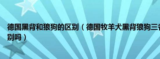 德国黑背和狼狗的区别（德国牧羊犬黑背狼狗三者有什么区别吗）