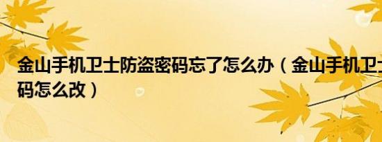 金山手机卫士防盗密码忘了怎么办（金山手机卫士的防盗密码怎么改）