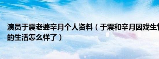 演员于震老婆辛月个人资料（于震和辛月因戏生情他们婚后的生活怎么样了）