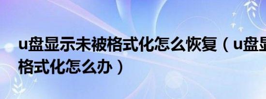 u盘显示未被格式化怎么恢复（u盘显示未被格式化怎么办）