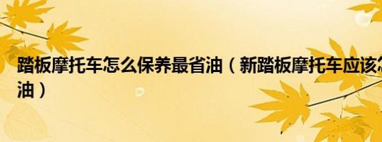 踏板摩托车怎么保养最省油（新踏板摩托车应该怎么保养省油）