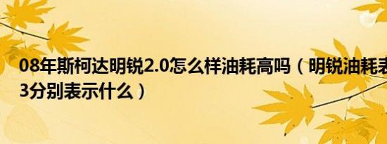 08年斯柯达明锐2.0怎么样油耗高吗（明锐油耗表表1表2表3分别表示什么）