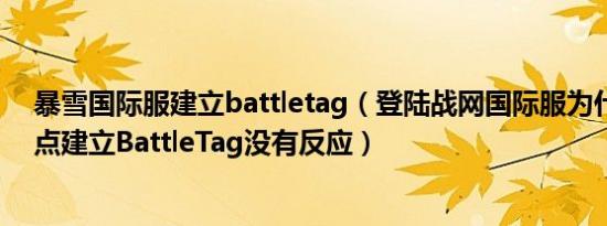 暴雪国际服建立battletag（登陆战网国际服为什么到这里点建立BattleTag没有反应）