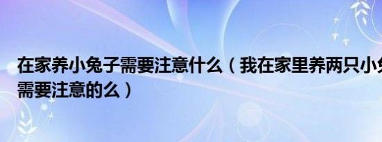 在家养小兔子需要注意什么（我在家里养两只小兔子有什么需要注意的么）