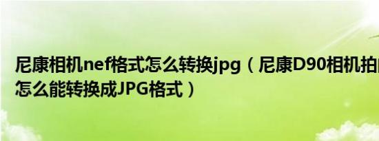 尼康相机nef格式怎么转换jpg（尼康D90相机拍的照片NEF怎么能转换成JPG格式）