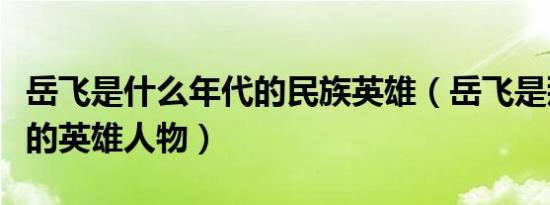 岳飞是什么年代的民族英雄（岳飞是那个朝代的英雄人物）