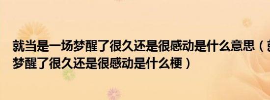 就当是一场梦醒了很久还是很感动是什么意思（就当是一场梦醒了很久还是很感动是什么梗）