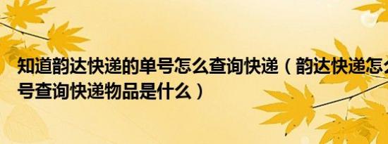 知道韵达快递的单号怎么查询快递（韵达快递怎么根据运单号查询快递物品是什么）