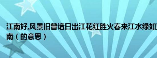 江南好,风景旧曾谙日出江花红胜火春来江水绿如蓝能不忆江南（的意思）