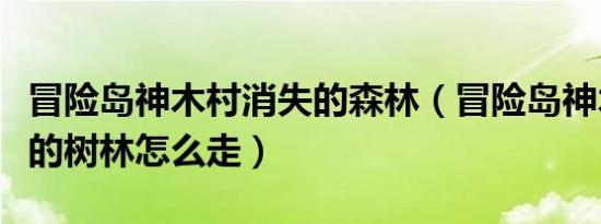 冒险岛神木村消失的森林（冒险岛神木村消失的树林怎么走）