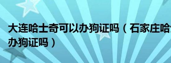 大连哈士奇可以办狗证吗（石家庄哈士奇可以办狗证吗）