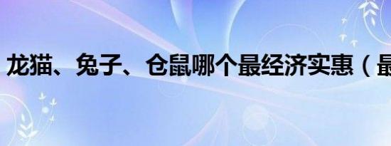 龙猫、兔子、仓鼠哪个最经济实惠（最好养）