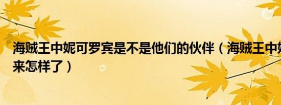 海贼王中妮可罗宾是不是他们的伙伴（海贼王中妮可罗宾后来怎样了）