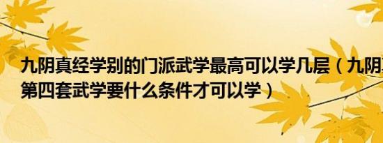 九阴真经学别的门派武学最高可以学几层（九阴真经4内和第四套武学要什么条件才可以学）