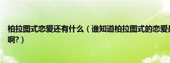 柏拉图式恋爱还有什么（谁知道柏拉图式的恋爱是什么样的啊?）