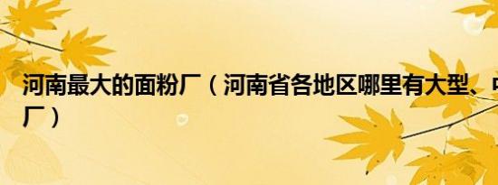 河南最大的面粉厂（河南省各地区哪里有大型、中型的面粉厂）