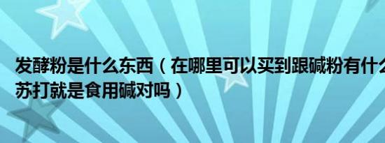 发酵粉是什么东西（在哪里可以买到跟碱粉有什么区别啊 小苏打就是食用碱对吗）