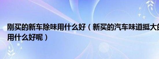 刚买的新车除味用什么好（新买的汽车味道挺大的新车除味用什么好呢）