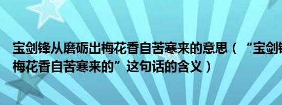 宝剑锋从磨砺出梅花香自苦寒来的意思（“宝剑锋从磨砺出梅花香自苦寒来的”这句话的含义）