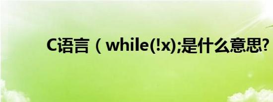 C语言（while(!x);是什么意思?）