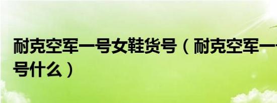 耐克空军一号女鞋货号（耐克空军一号鞋子货号什么）