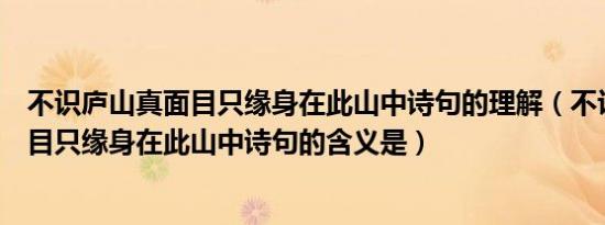 不识庐山真面目只缘身在此山中诗句的理解（不识庐山真面目只缘身在此山中诗句的含义是）