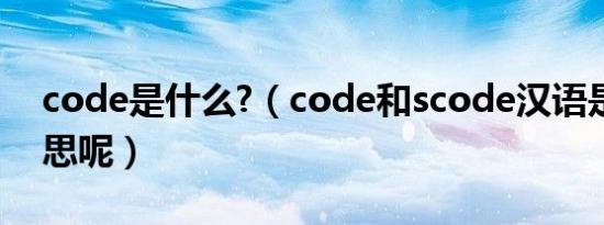 code是什么?（code和scode汉语是什么意思呢）