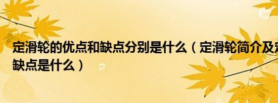 定滑轮的优点和缺点分别是什么（定滑轮简介及定滑轮的优缺点是什么）