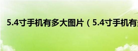 5.4寸手机有多大图片（5.4寸手机有多大）