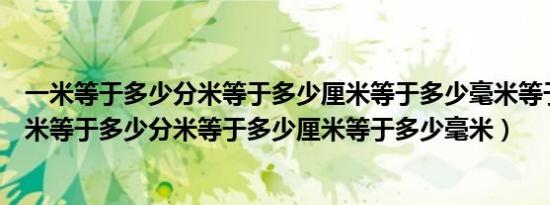 一米等于多少分米等于多少厘米等于多少毫米等于多少（一米等于多少分米等于多少厘米等于多少毫米）
