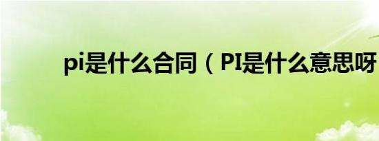 pi是什么合同（PI是什么意思呀）