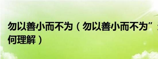 勿以善小而不为（勿以善小而不为”这句话如何理解）