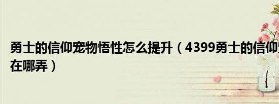 勇士的信仰宠物悟性怎么提升（4399勇士的信仰宠物的悟性在哪弄）