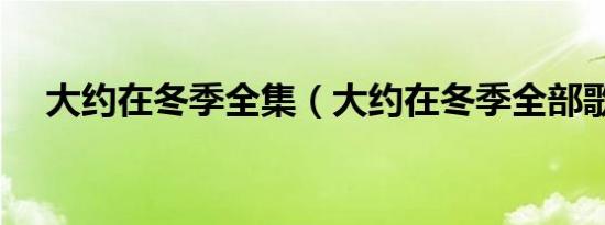 大约在冬季全集（大约在冬季全部歌词）